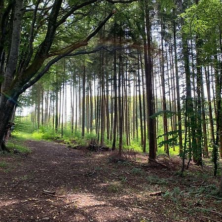 Zimmer Mit Bergblick Starnberg Ngoại thất bức ảnh